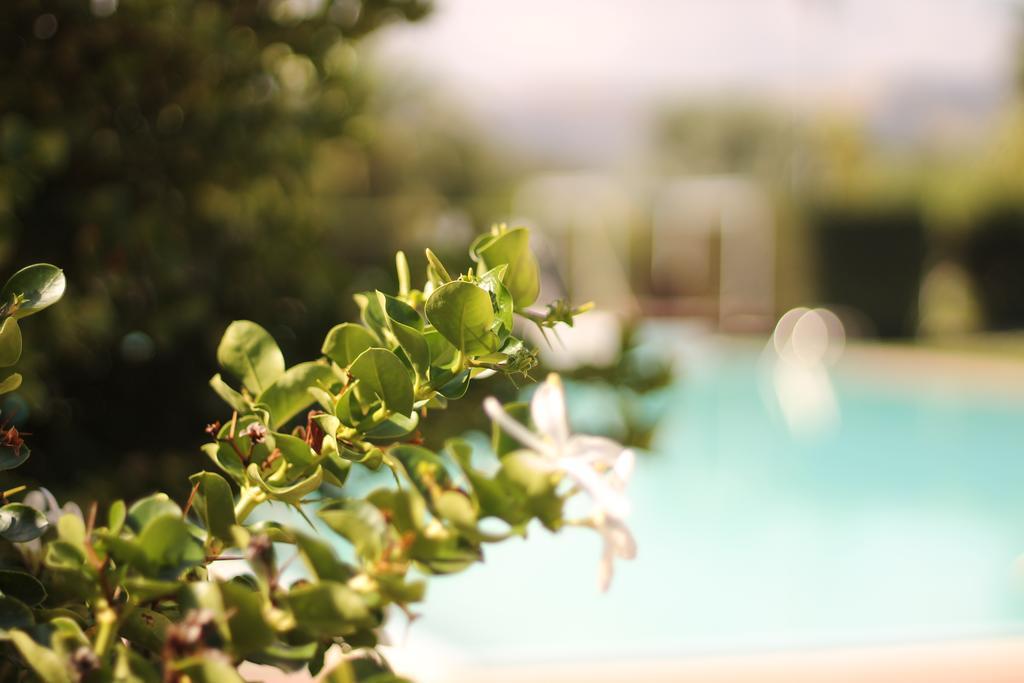 Valle Di Mare Country Resort Fontane Bianche Buitenkant foto