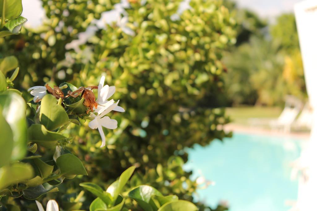Valle Di Mare Country Resort Fontane Bianche Buitenkant foto